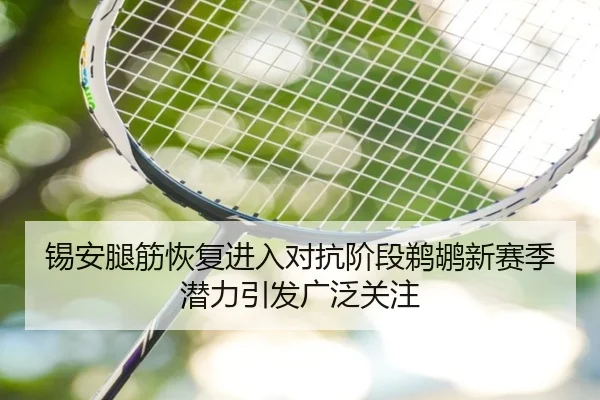 锡安腿筋恢复进入对抗阶段鹈鹕新赛季潜力引发广泛关注 | BEIBOSPORTS